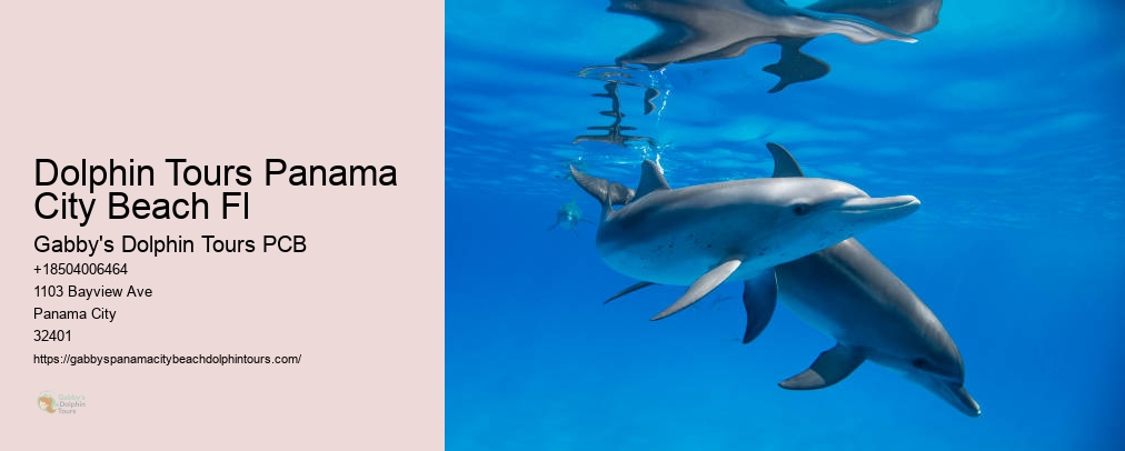 Dolphin And Snorkel Tours Inc Panama City Fl