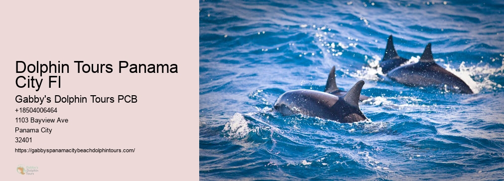 Swim With Dolphins Panama City Fl