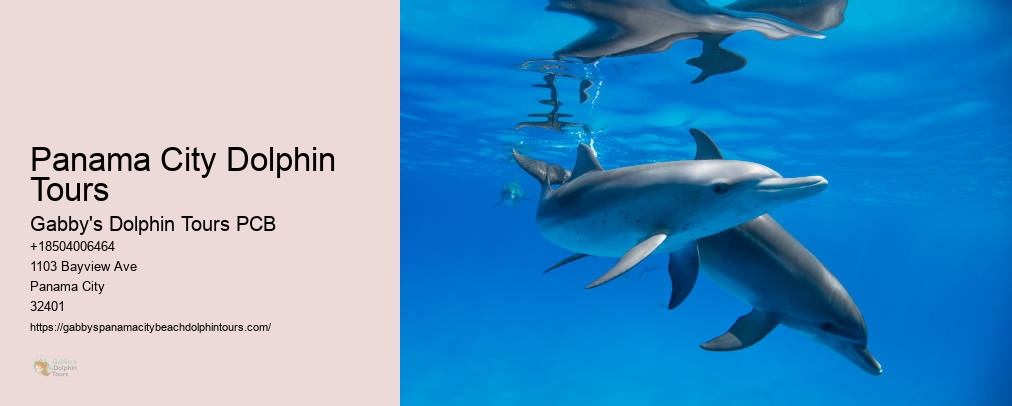 Panama City Dolphin