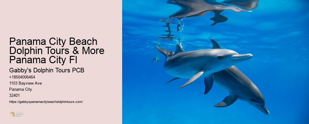 Panama City Dolphin Tours And More