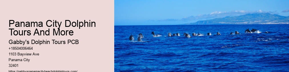 Panama City Dolphin Tours