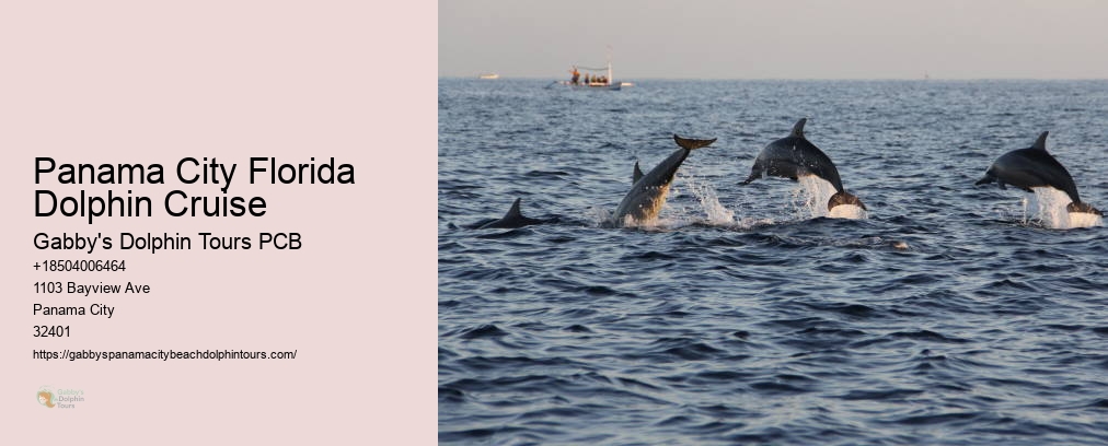 Dolphin Cruise Panama City Florida