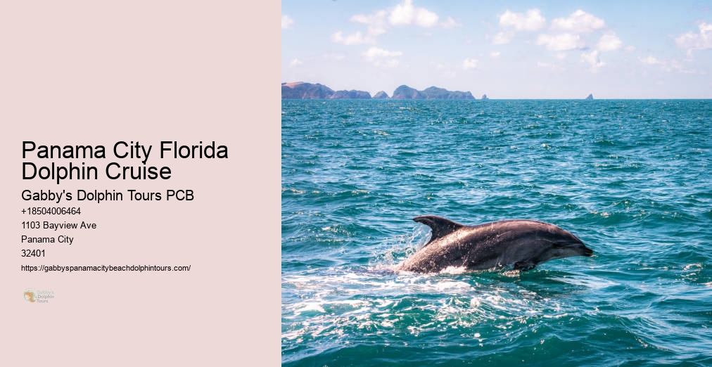 Dolphin Tours Panama City Fl