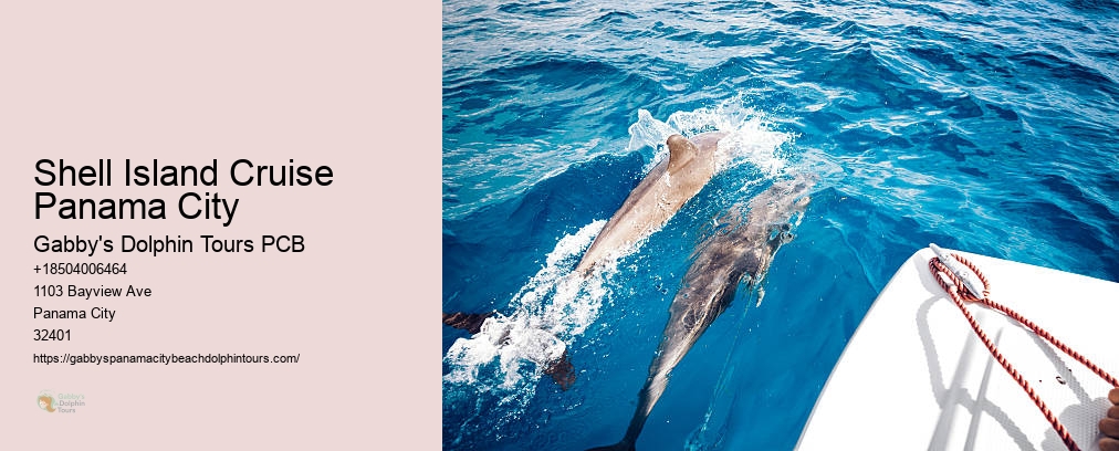 Panama City Dolphin