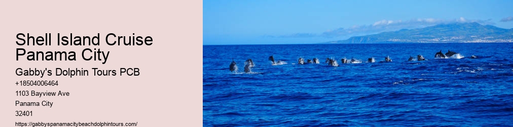 Swim With Dolphins Panama City Fl