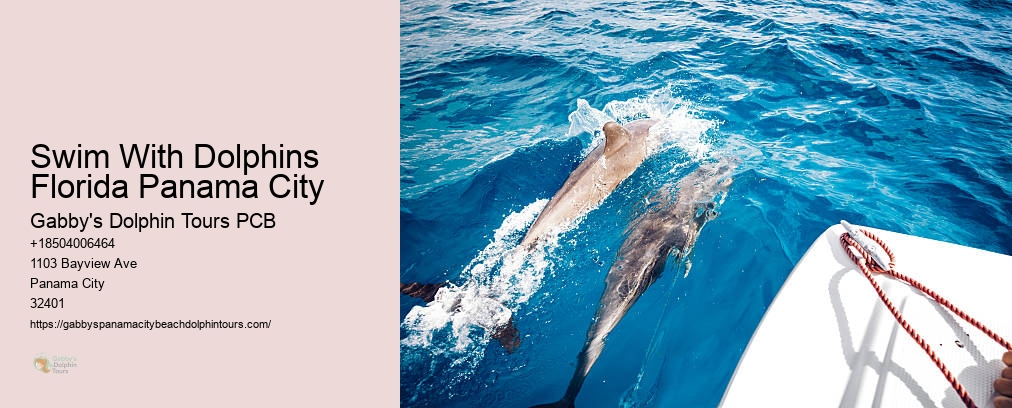 Panama City Dolphin