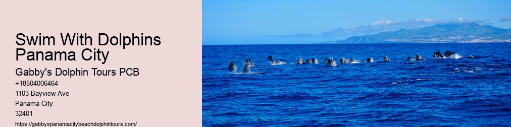 Dolphin Tours Panama City Fl