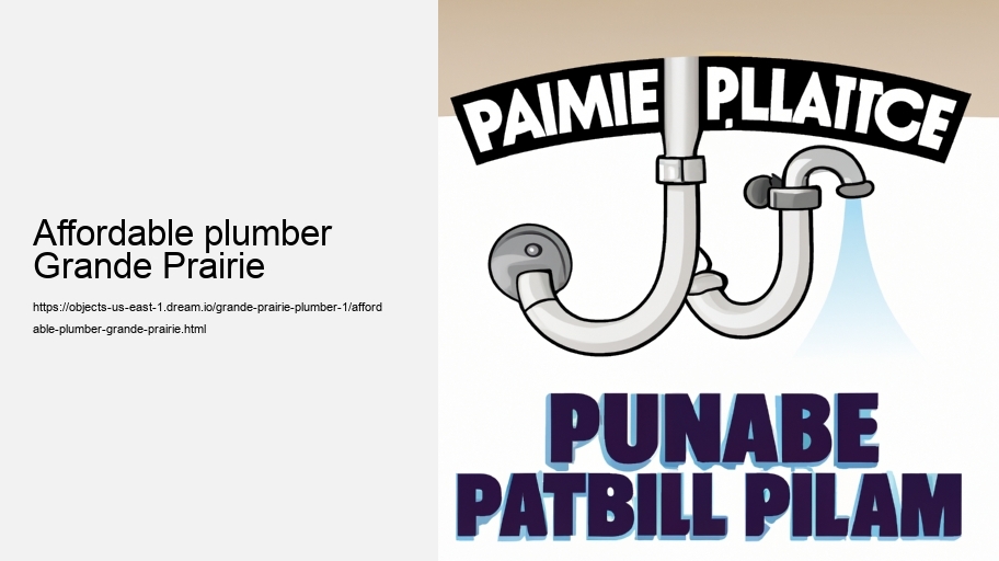 Affordable plumber Grande Prairie