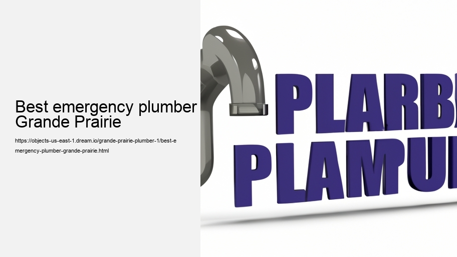 Best emergency plumber Grande Prairie