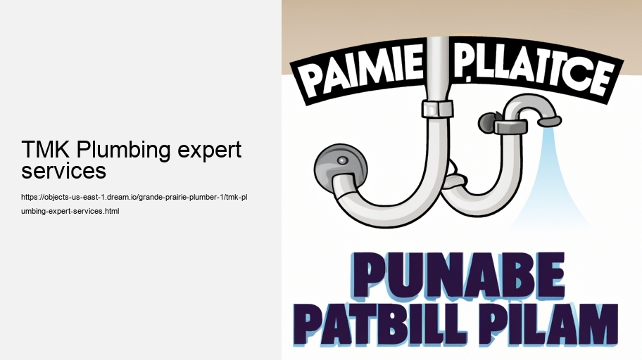 TMK Plumbing expert services