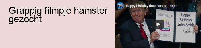 grappig filmpje hamster gezocht