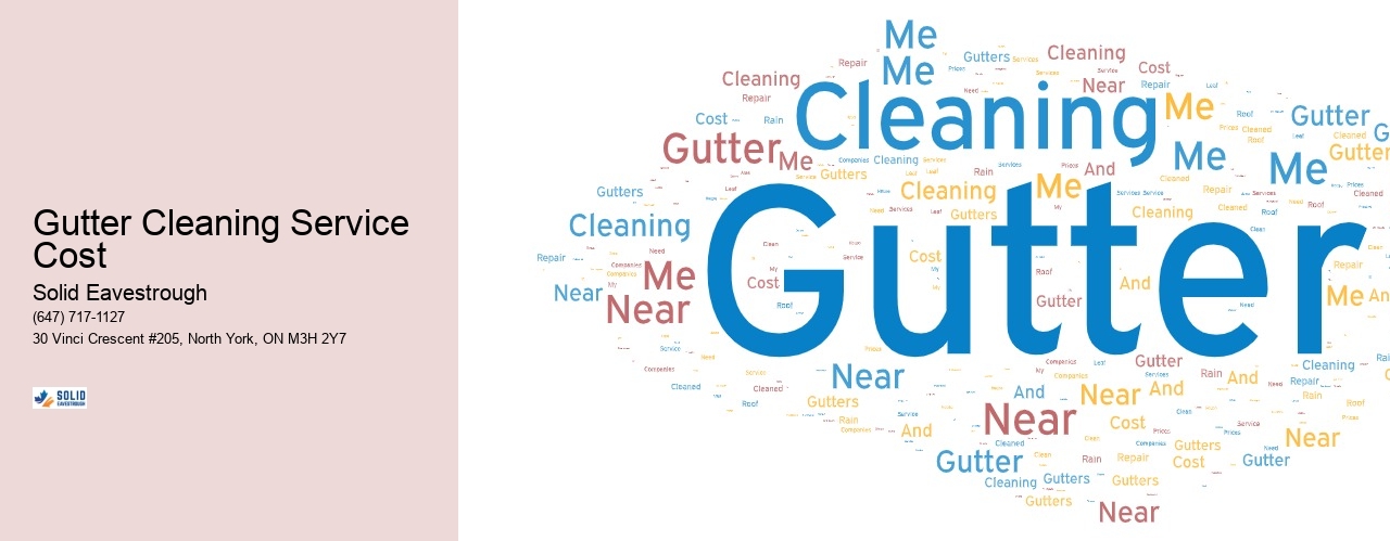 Gutter Cleaning Service Cost