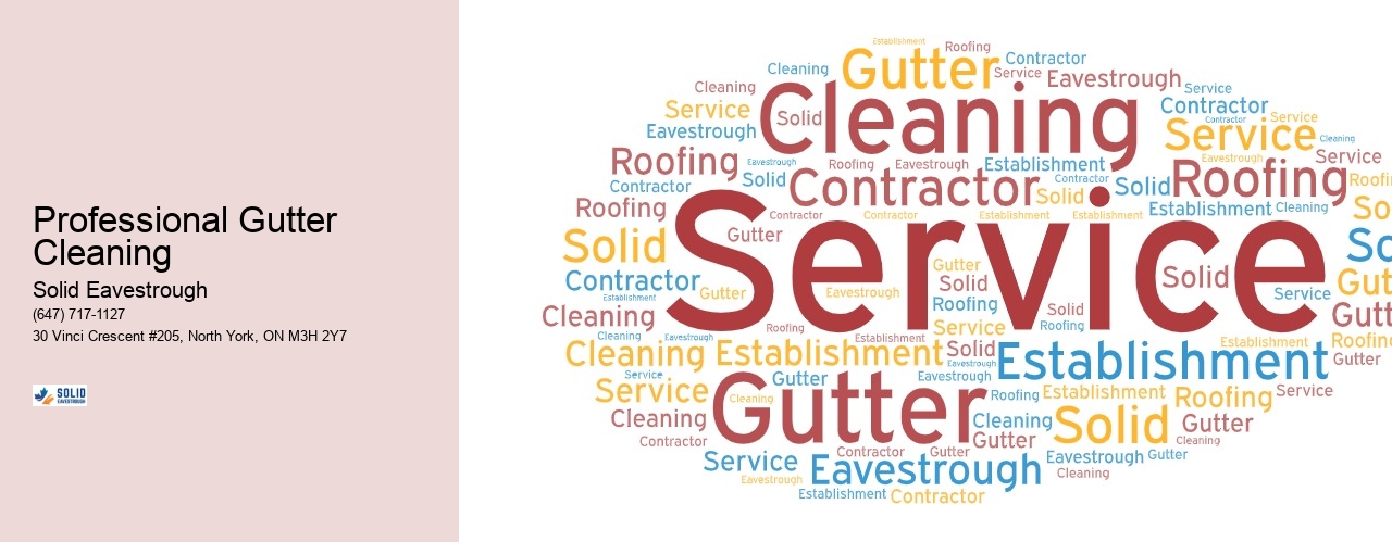 Professional Gutter Cleaning