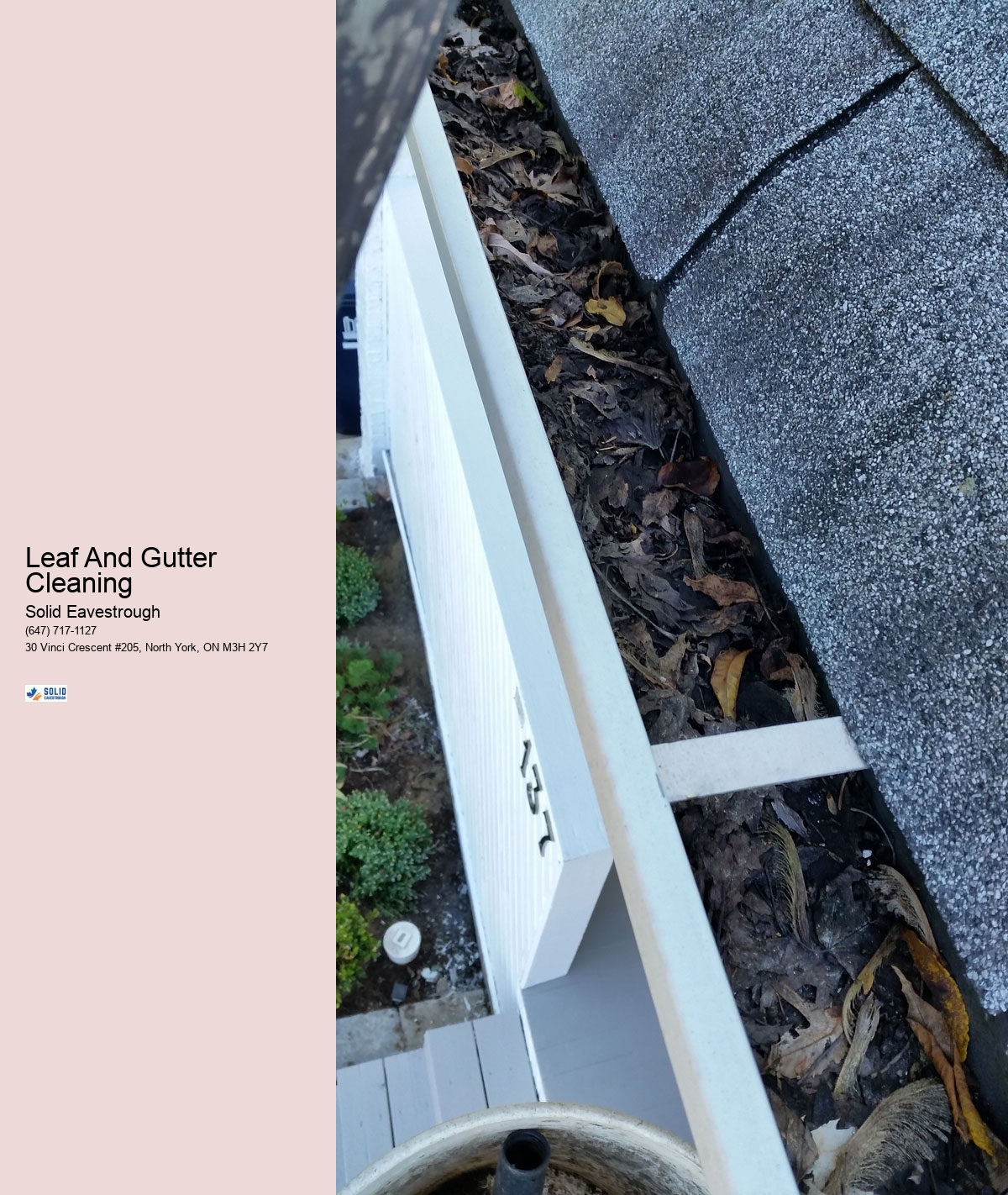 Leaf And Gutter Cleaning