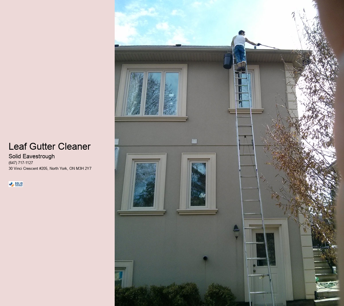 Leaf Gutter Cleaner