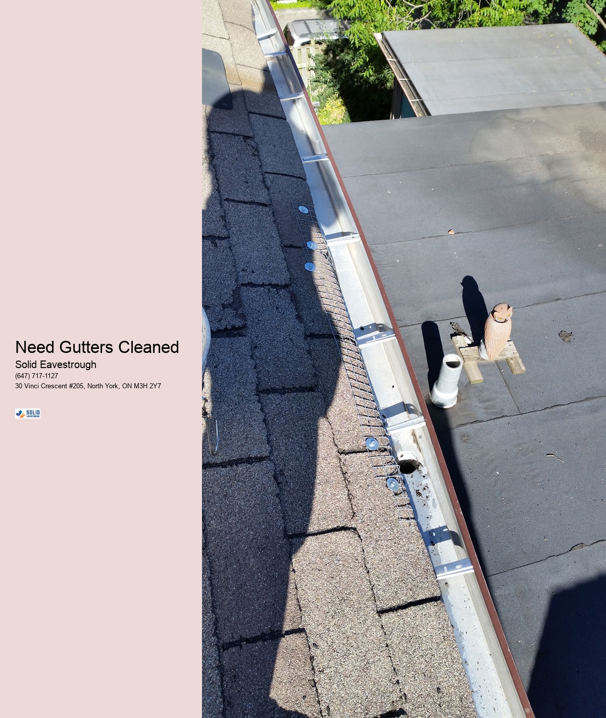 Need Gutters Cleaned