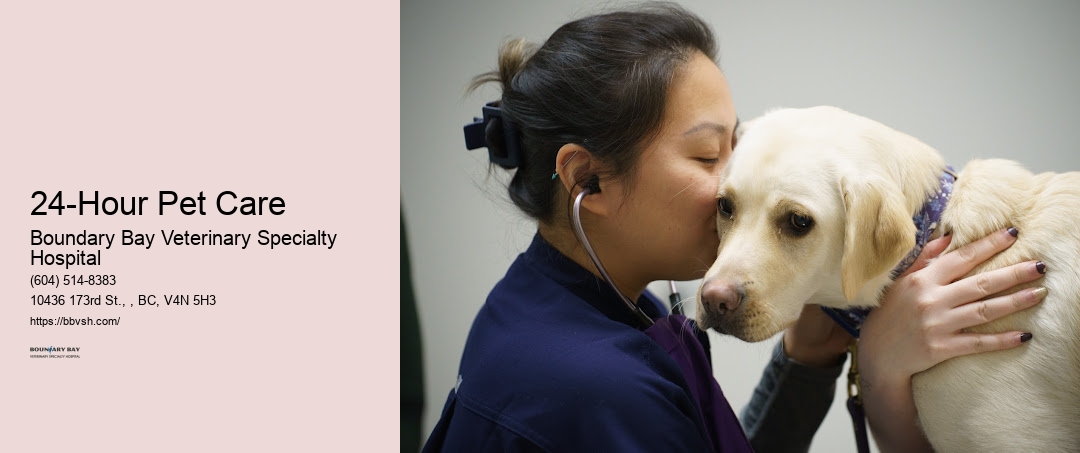 24-Hour Pet Care Surrey