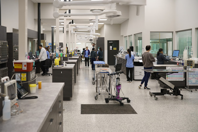 24-Hour Pet Diagnostics Surrey pet trauma center
