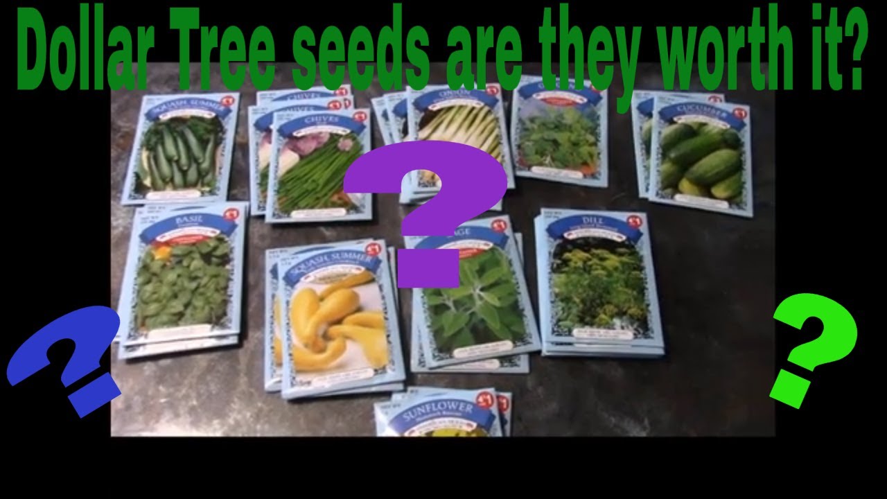 heirloom vs hybrid seeds