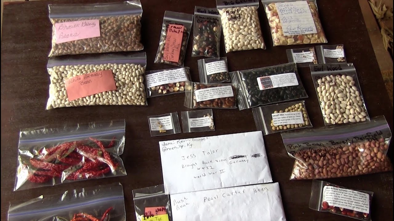 which vegetable seeds to plant now near california