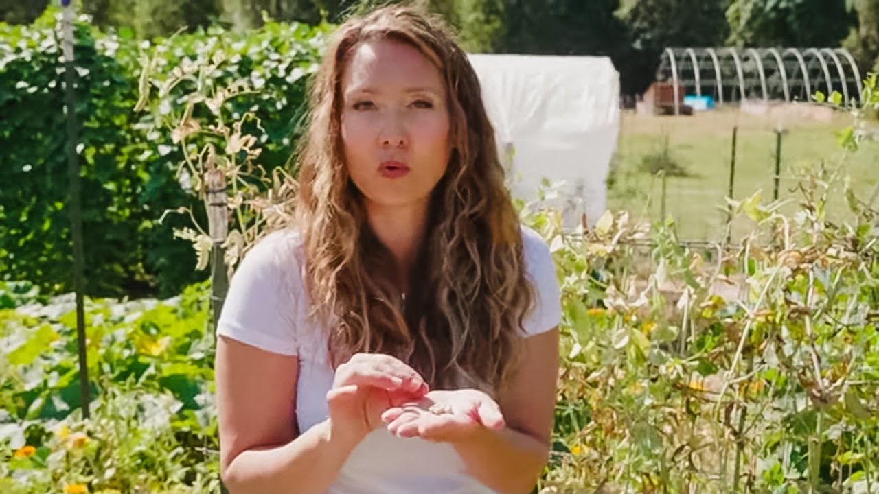 what is the best way to store seeds for long term