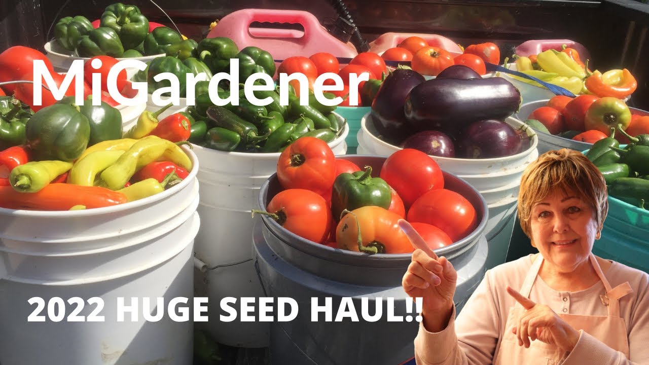 can you save seeds from hybrid plants