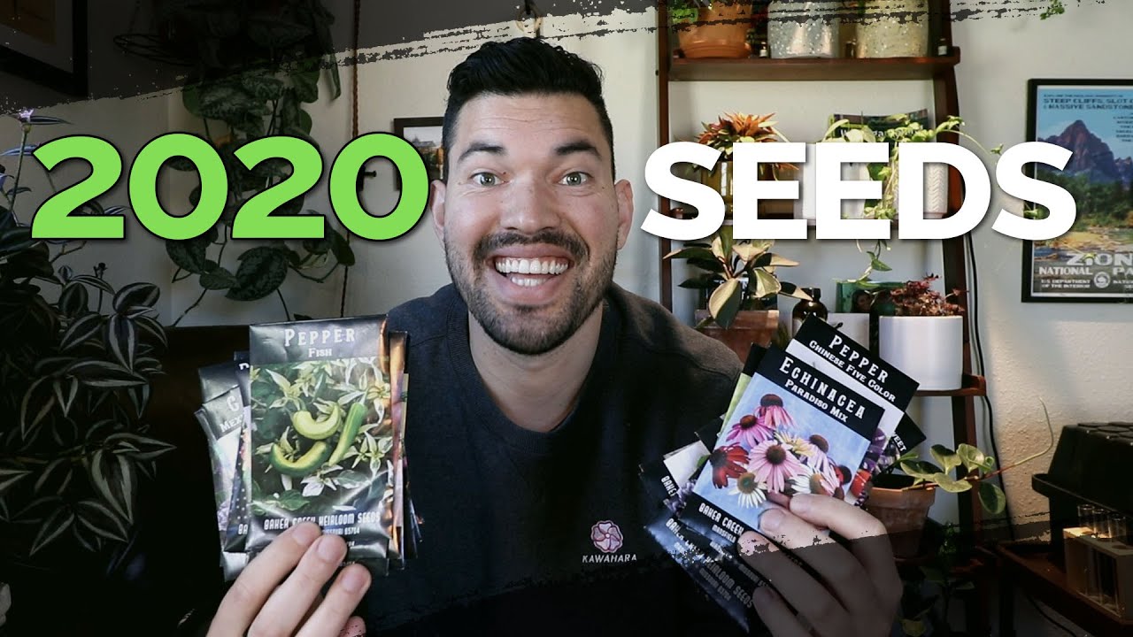 seeds for sale