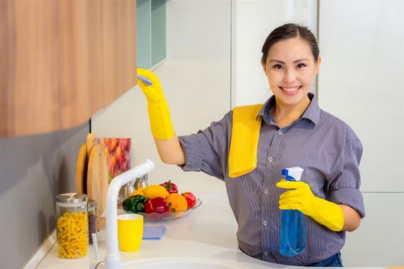 GREEN CLEANING TAMPA BAY FL