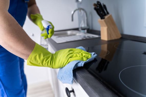 MAID SERVICES PALM BEACH