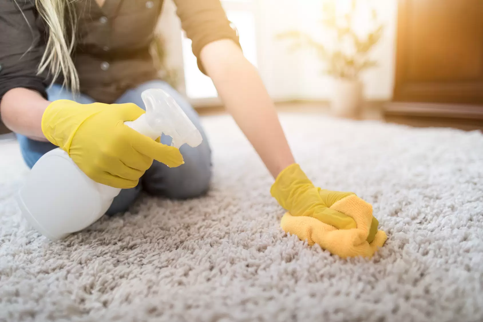 CUSTOM CLEANING OF THE PALM BEACHES