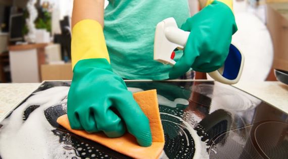 GREEN CLEANING TAMPA BAY FL