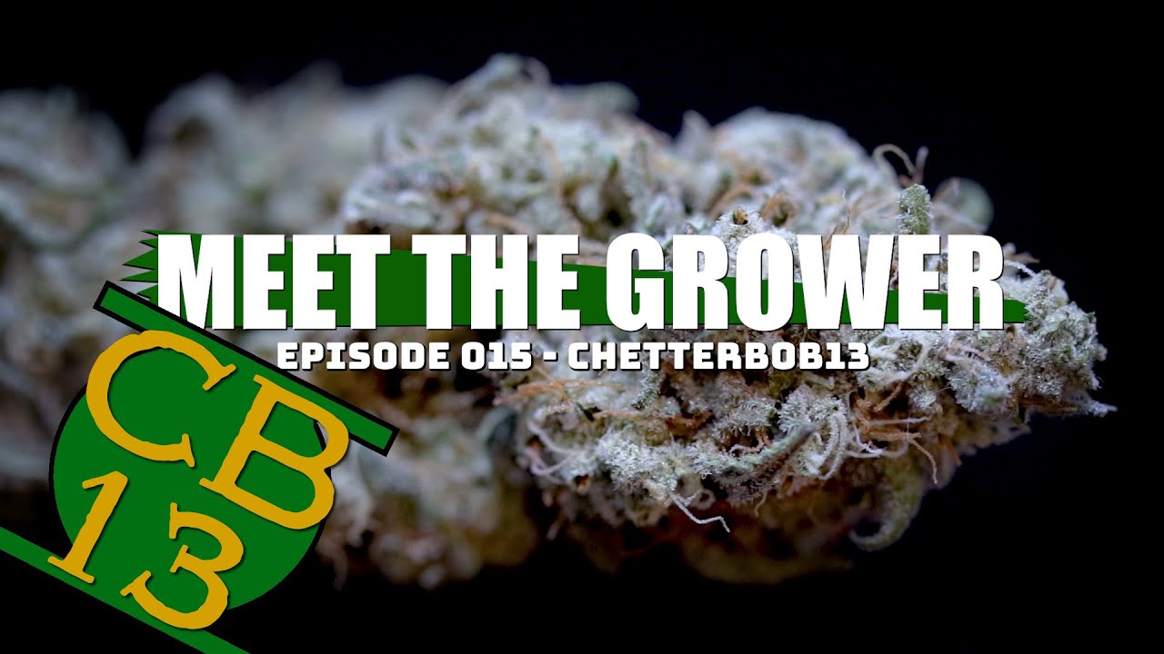 ilgm super autoflower seeds