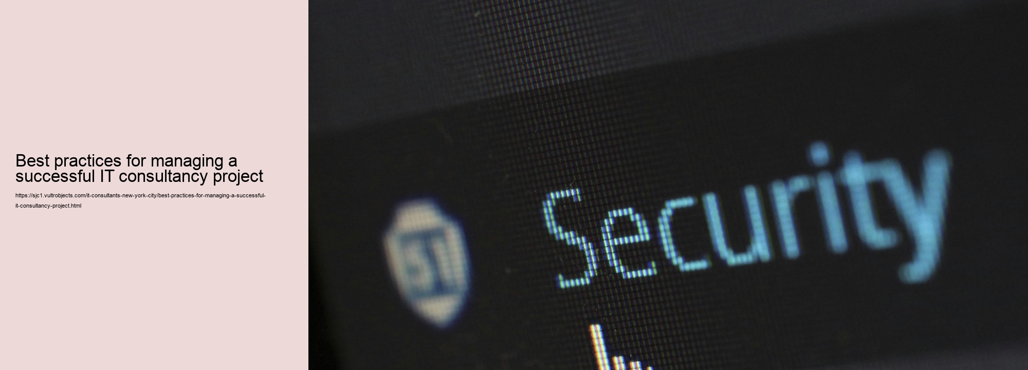 Best practices for managing a successful IT consultancy project 