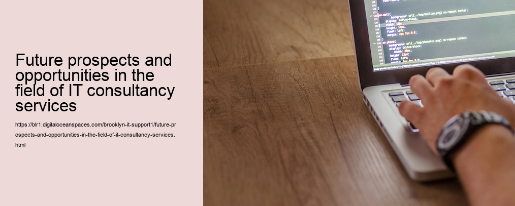 Future prospects and opportunities in the field of IT consultancy services