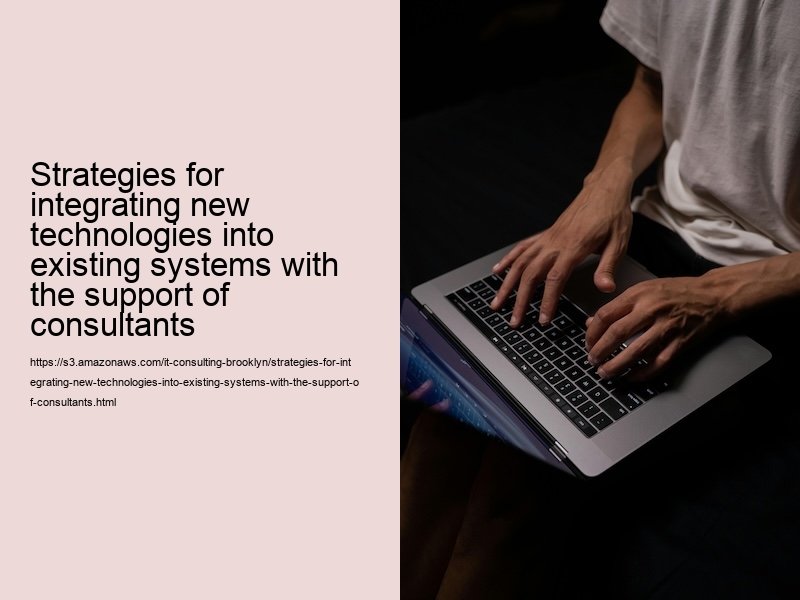 Strategies for integrating new technologies into existing systems with the support of consultants 