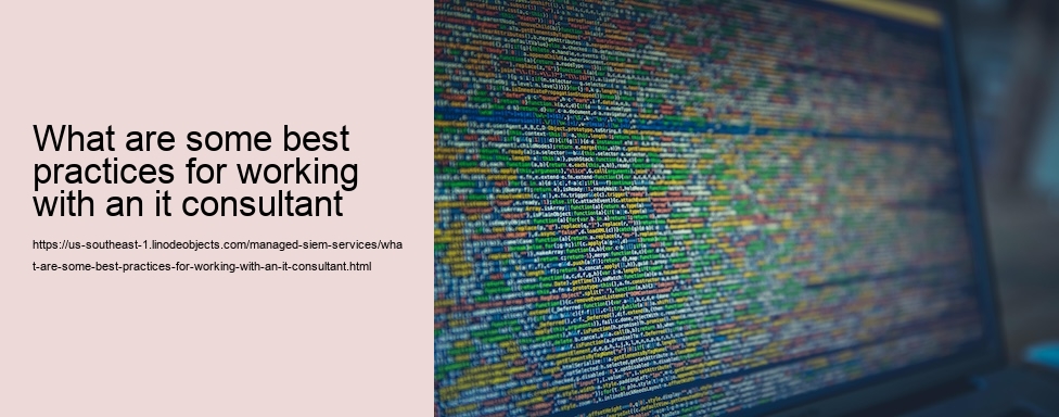 what are some best practices for working with an it consultant