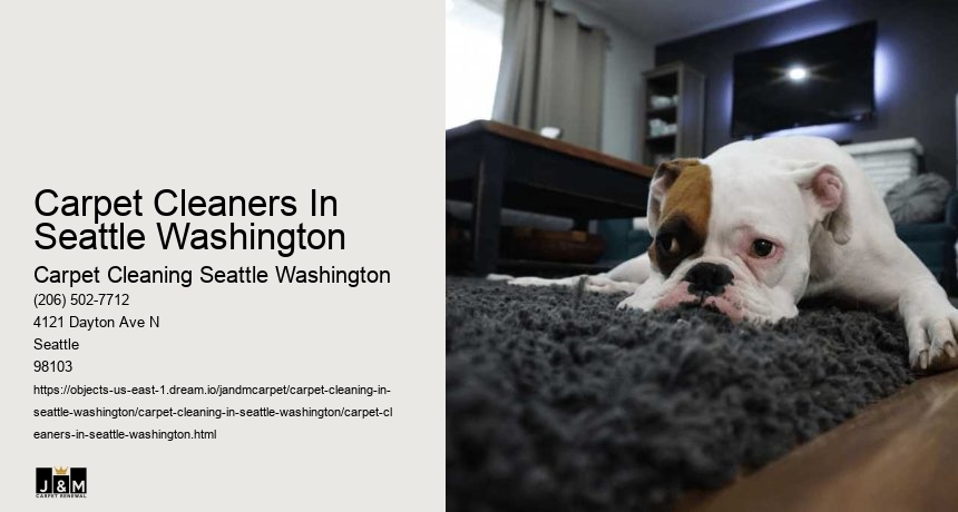 Carpet Cleaners In Seattle Washington