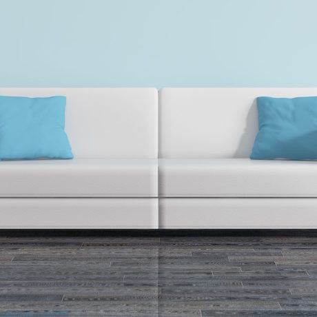 Professional Carpet Cleaning Seattle
