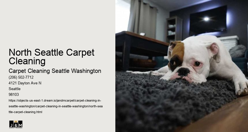 North Seattle Carpet Cleaning