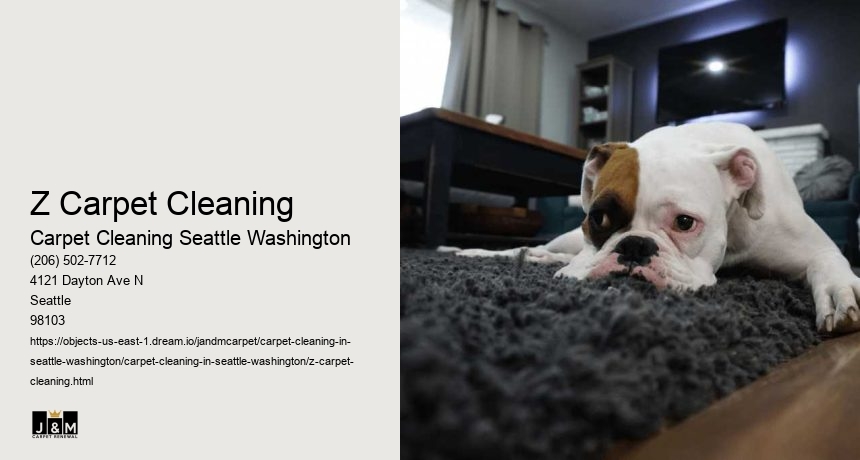 Z Carpet Cleaning