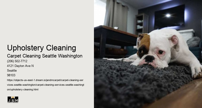 Upholstery Cleaning
