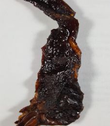 5K Bison & Boar Ranch - Mesquite Wild Boar Jerky