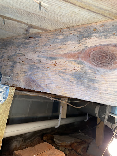 Preventing Mold Growth: Tips for Maintaining Healthy Indoor Air