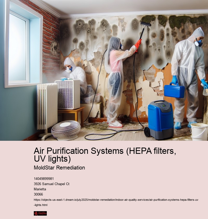 Air Purification Systems (HEPA filters, UV lights)