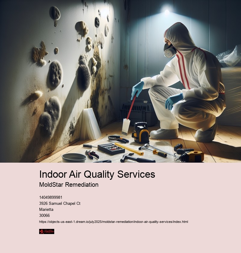 Indoor Air Quality Services