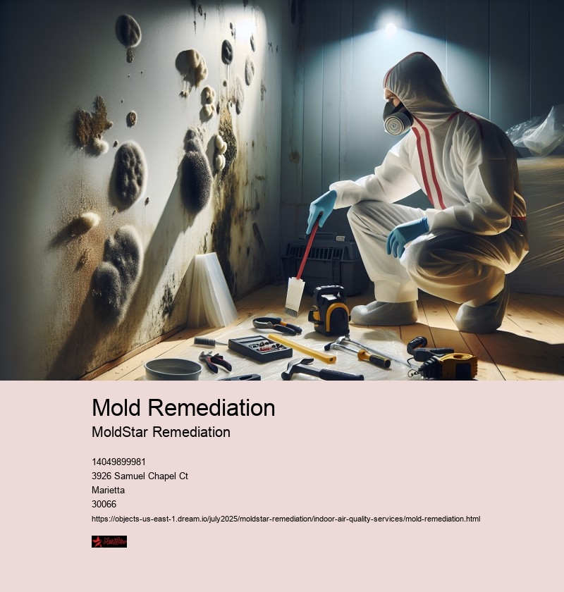 Mold Remediation