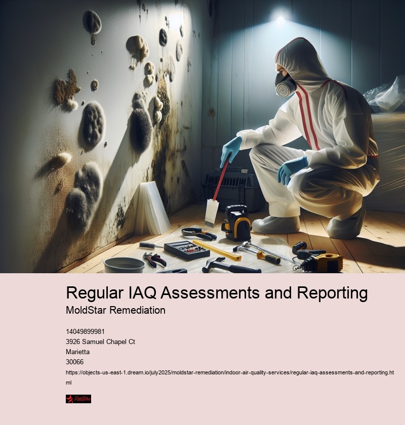 Regular IAQ Assessments and Reporting