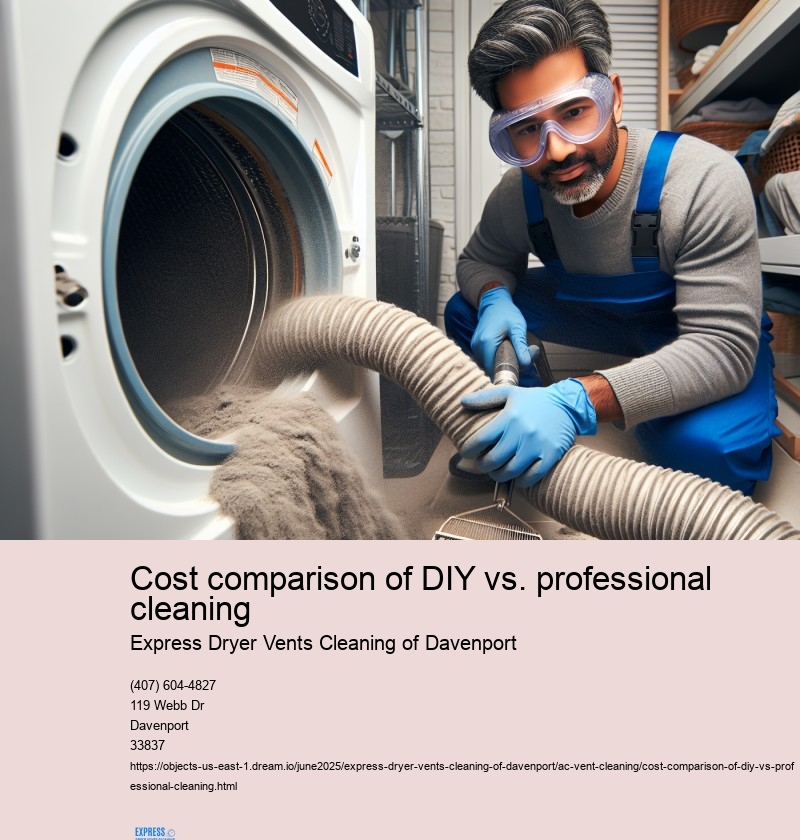 Cost comparison of DIY vs. professional cleaning