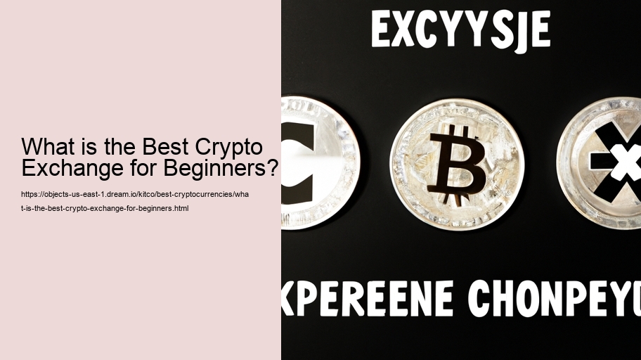 What is the Best Crypto Exchange for Beginners?