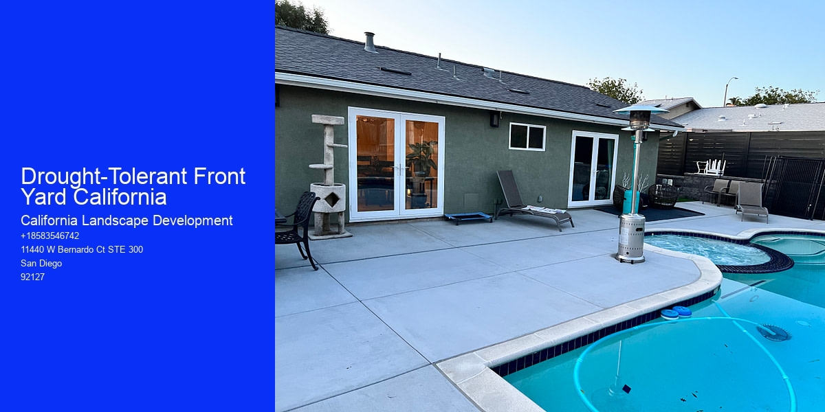 Drought-Tolerant Front Yard California